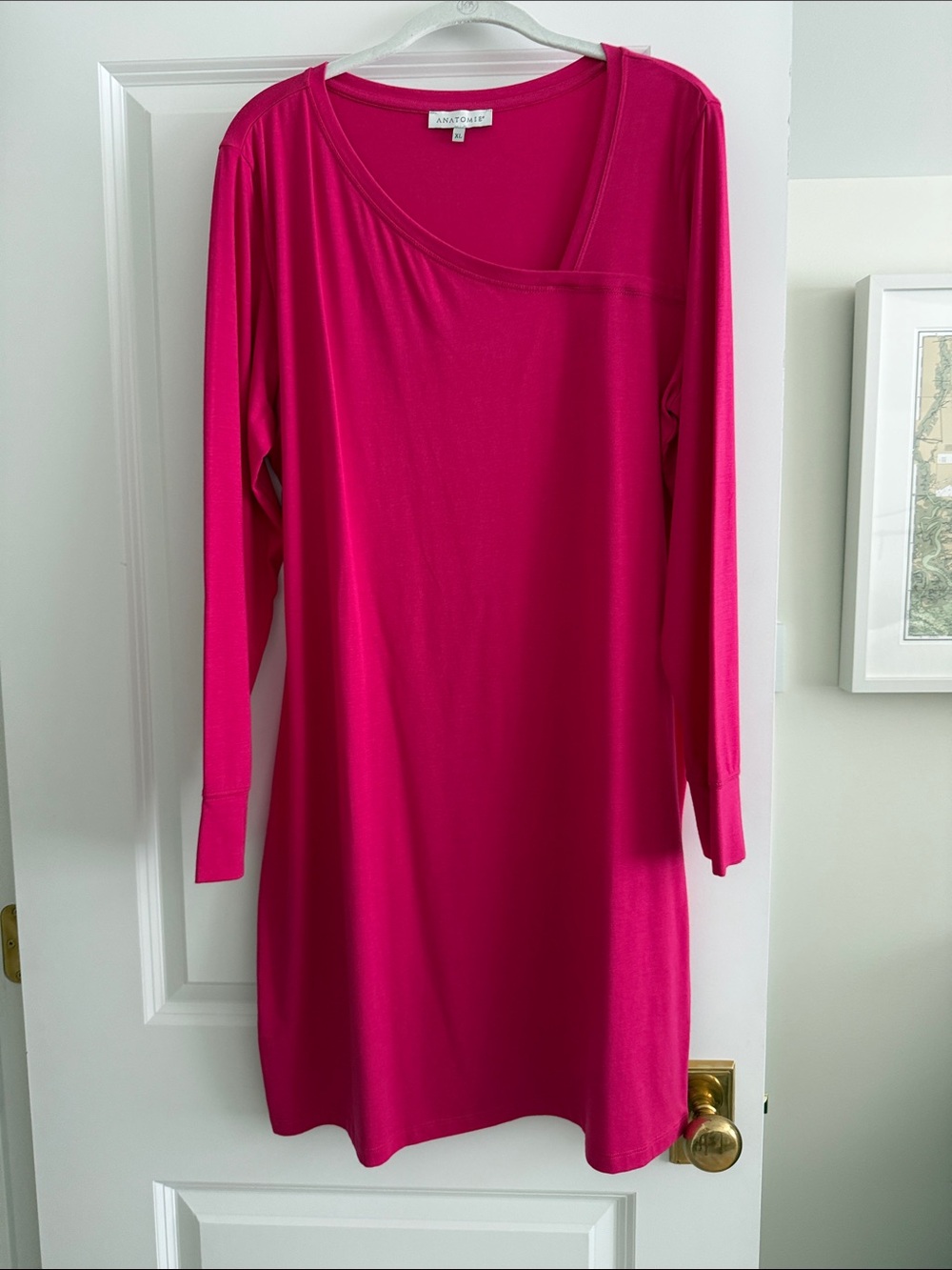 Anatomie Fushia Dress